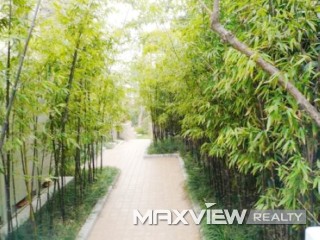 Willowbrook   |   云间绿大地3期 4bedroom 410sqm ¥68,000 YJLDD001