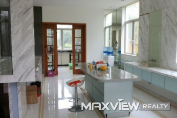 Golden Oscar   |   金爵别墅 6bedroom 564sqm ¥40,000 PDV00128