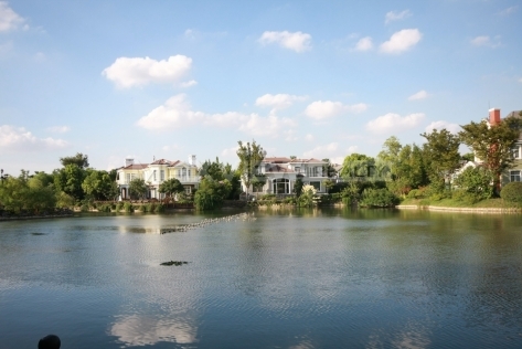 Violet Country Villa | 西郊紫郡 5bedroom 388sqm ¥44,000 QPV01840