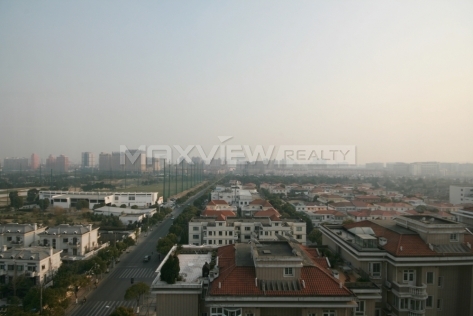 Hongmei Zijing Garden | 虹梅紫京苑 3bedroom 232sqm ¥30,000 SH003135
