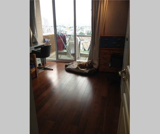Chevalier Place   |   亦园 4bedroom 333sqm ¥45,000 SH008040