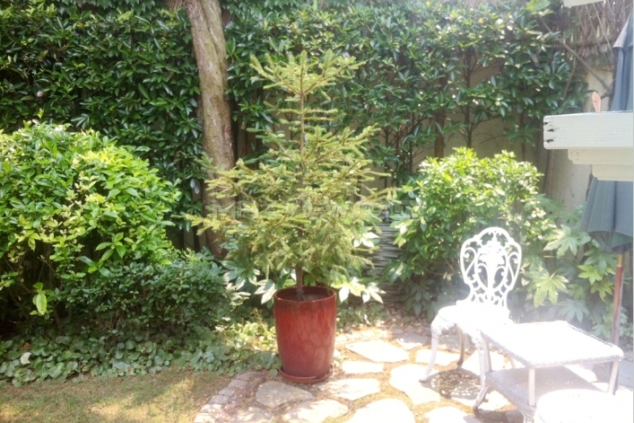 Old Lane House on Taiyuan Road 3bedroom 100sqm ¥40,000 SH004864