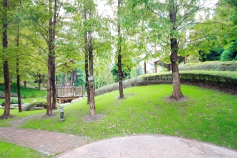 Central Palace   |   陆家嘴中央公寓 3bedroom 143sqm ¥20,000 SH006169