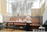 Old Lane House Rent on Wukang Road 4bedroom 170sqm ¥45,000