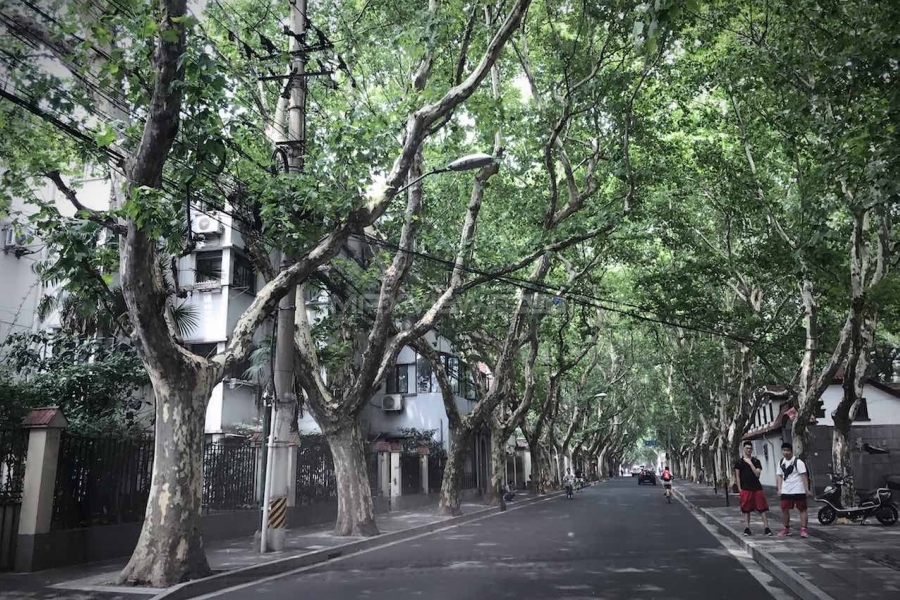 Old Lane House on Yueyang Rd 3bedroom 190sqm ¥30,000 SH017818