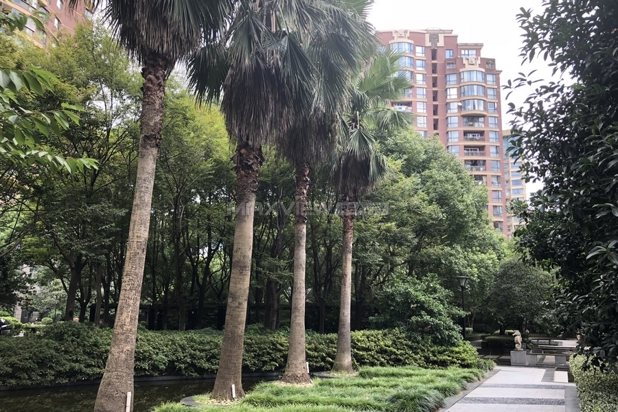Gubei Qiangsheng Garden 古北强生花园