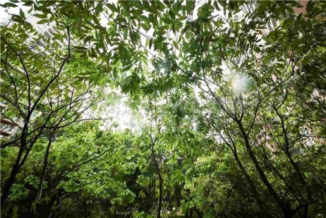 Yanlord Riverside Garden 3bedroom 120sqm ¥21,000 PRS1966