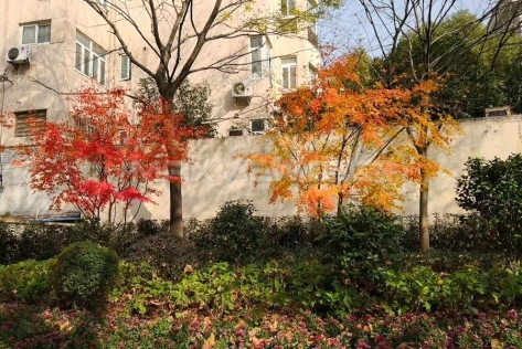 Old Lane House On Gao An Road 2bedroom 80sqm ¥18,000 PRS2410