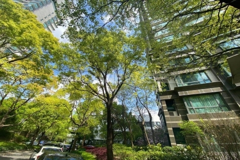 Pudong Century Garden | 浦东世纪花园 3bedroom 130sqm ¥25,000 SHA19352