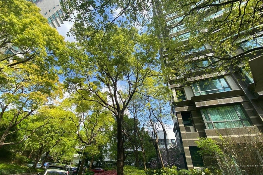 Pudong Century Garden | 浦东世纪花园 3bedroom 130sqm ¥25,000 SHA19352