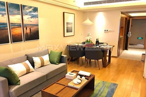 Golden Nest Platinum Ruige 1br 65sqm in Downtown | 金巢铂瑞阁 1bedroom 65sqm ¥11,000 SHA20011