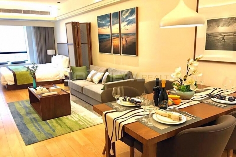 Golden Nest Platinum Ruige 1br 65sqm in Downtown | 金巢铂瑞阁 1bedroom 65sqm ¥11,000 SHA20011